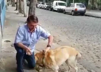 Bolsonaro diz que criará a partir de agosto a Secretaria dos Animais