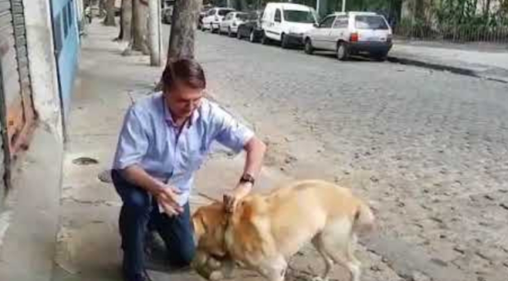 Bolsonaro diz que criará a partir de agosto a Secretaria dos Animais