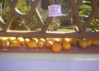 ATITUDE LINDA EM PEDRA DE GUARATIBA ❤️