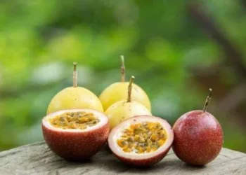 Suco e Chá de maracujá para Dormir mais rápido – Tua Saúde