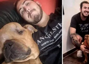 Jovem adota cachorro com câncer para dar a ele um lar em seus últimos dias