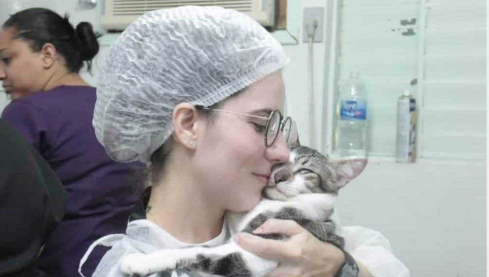 Prefeitura abre vagas para castração de cães e gatos