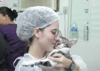 Prefeitura abre vagas para castração de cães e gatos