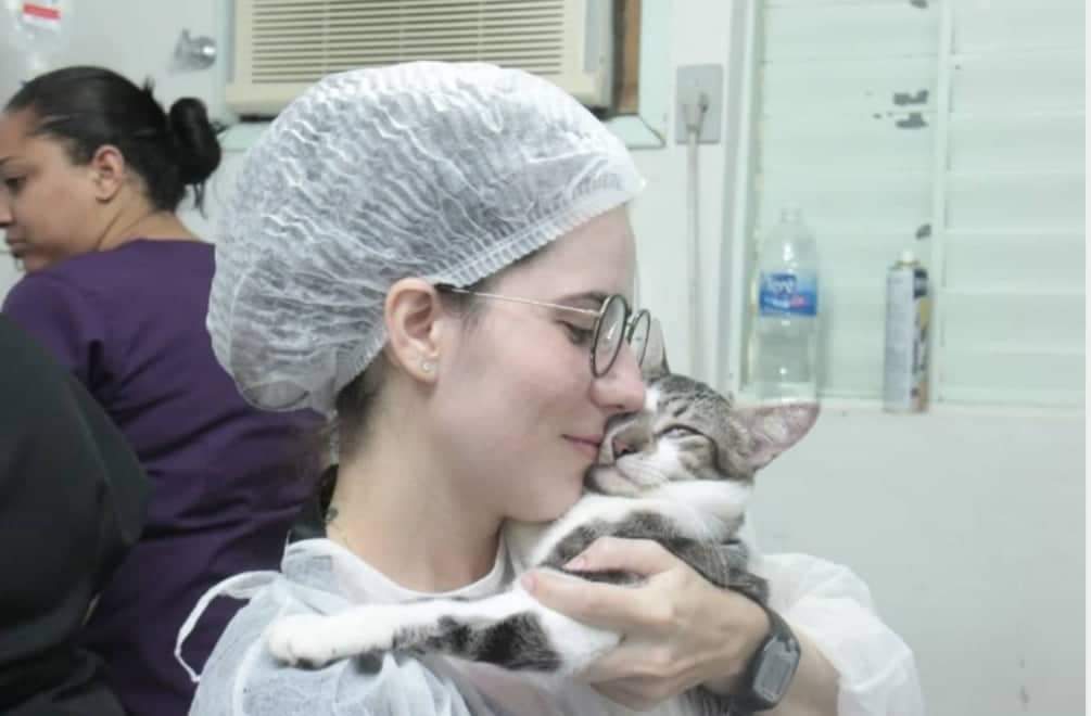 Prefeitura abre vagas para castração de cães e gatos