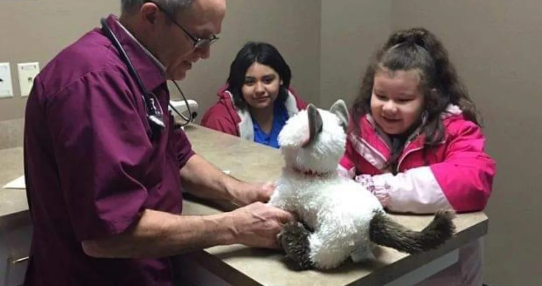 Veterinário atende gato de pelúcia “doente” de menina autista