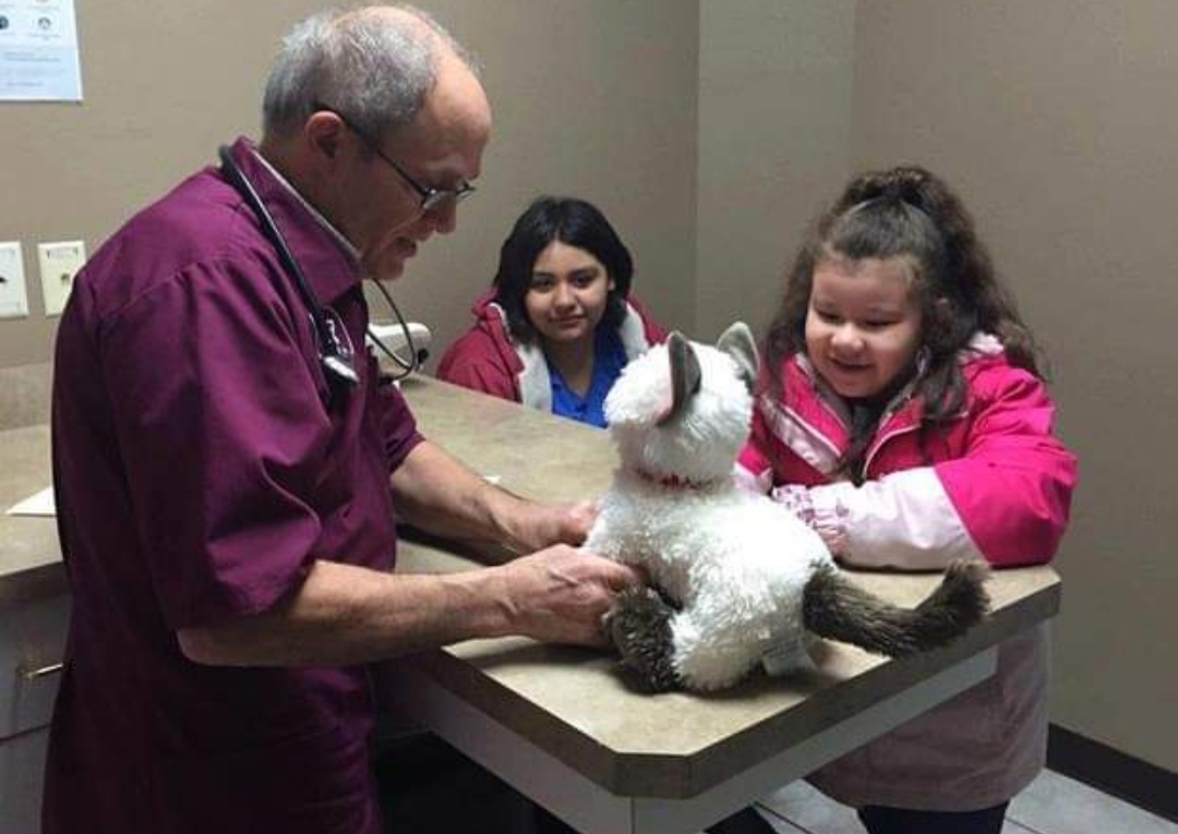 Veterinário atende gato de pelúcia “doente” de menina autista