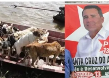 Ex-prefeito é condenado a 20 anos de prisão por matança de cachorros  ￼