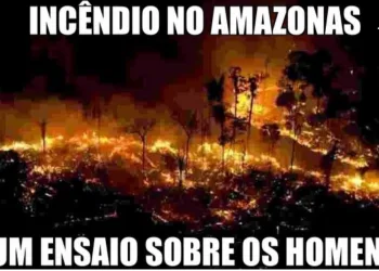 INCENDIO NO AMAZONAS: UM ENSAIO SOBRE OS HOMENS