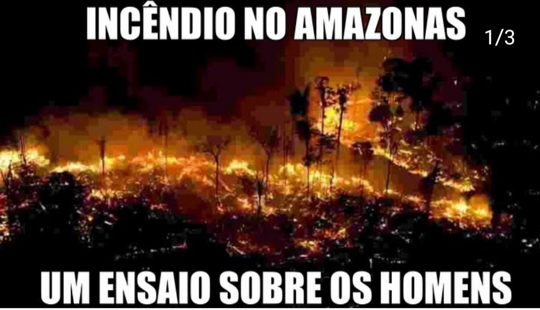INCENDIO NO AMAZONAS: UM ENSAIO SOBRE OS HOMENS