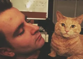 Cientistas criam vacina pra quem é alérgico a gatos