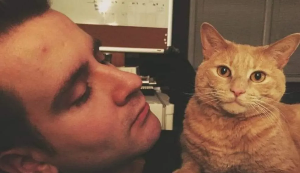 Cientistas criam vacina pra quem é alérgico a gatos