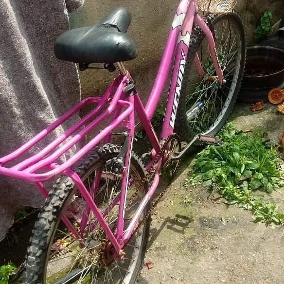 LADRÃO EM CAMPO GRANDE SE DEU MAL…