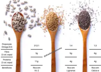 GIRASSOL, LINHAÇA E CHIA QUAL Ê A MELHOR?