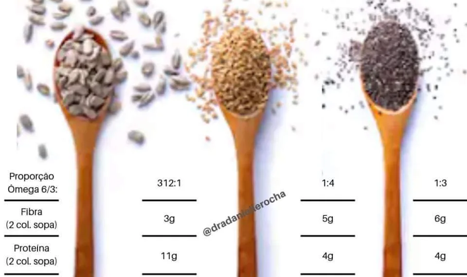 GIRASSOL, LINHAÇA E CHIA QUAL Ê A MELHOR?