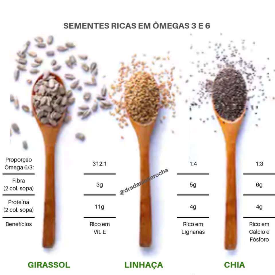 GIRASSOL, LINHAÇA E CHIA QUAL Ê A MELHOR?