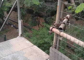 DENÚNCIA: PASSARELA NA AVENIDA BRASIL VAI CAIR!(FOTOS)!