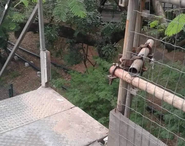DENÚNCIA: PASSARELA NA AVENIDA BRASIL VAI CAIR!(FOTOS)!