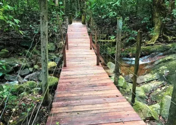 CONHEÇAM O PARQUE NATURAL DO MENDANHA