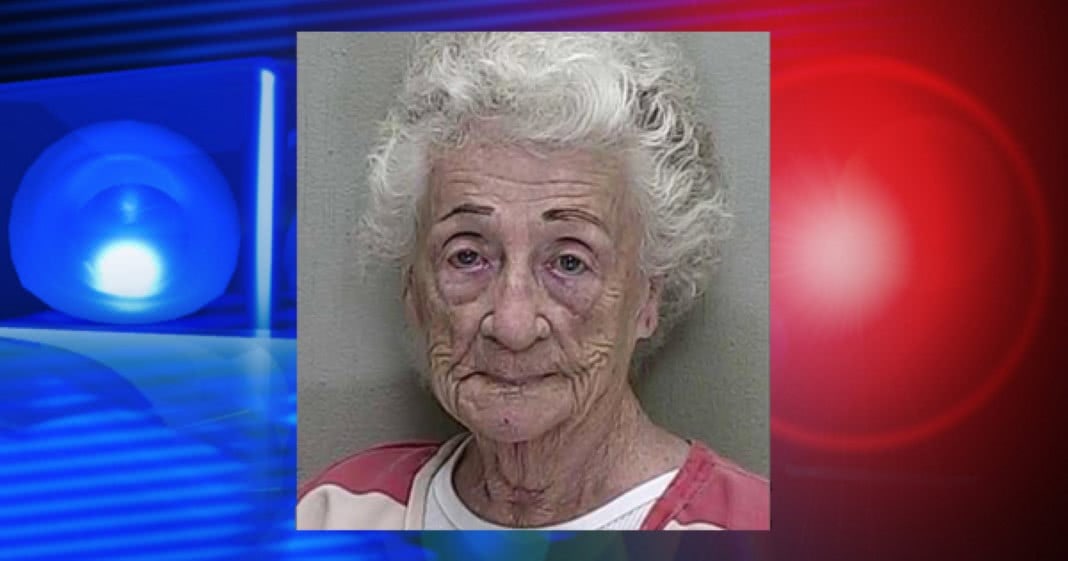 Idosa é acusada de treinar 65 gatos para roubar os vizinhos.