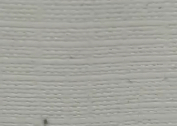 DENÚNCIA!!ESCOLA EM CAMPO GRANDE COM ANIMAIS  CONTAGIOSOS