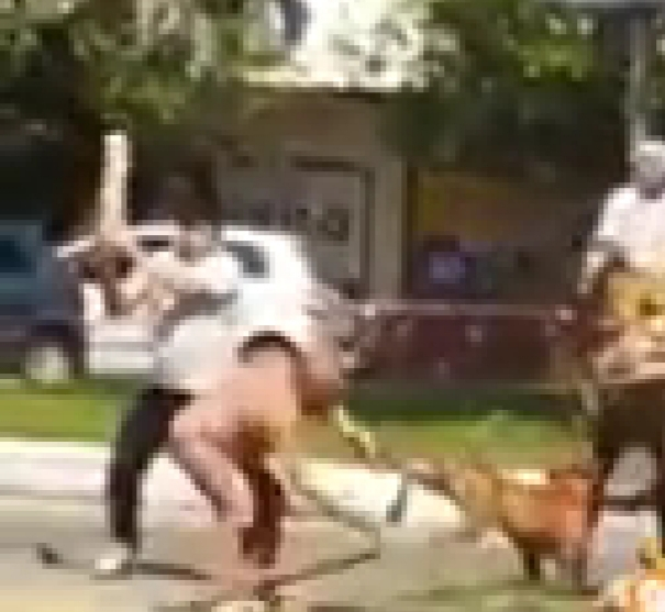 PIT BULL ATACA CARROCEIRO EM CAMPO GRANDE !!