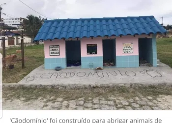 Vizinhos se unem e criam ‘cãodomínio’ para abrigar animais de rua no RJ