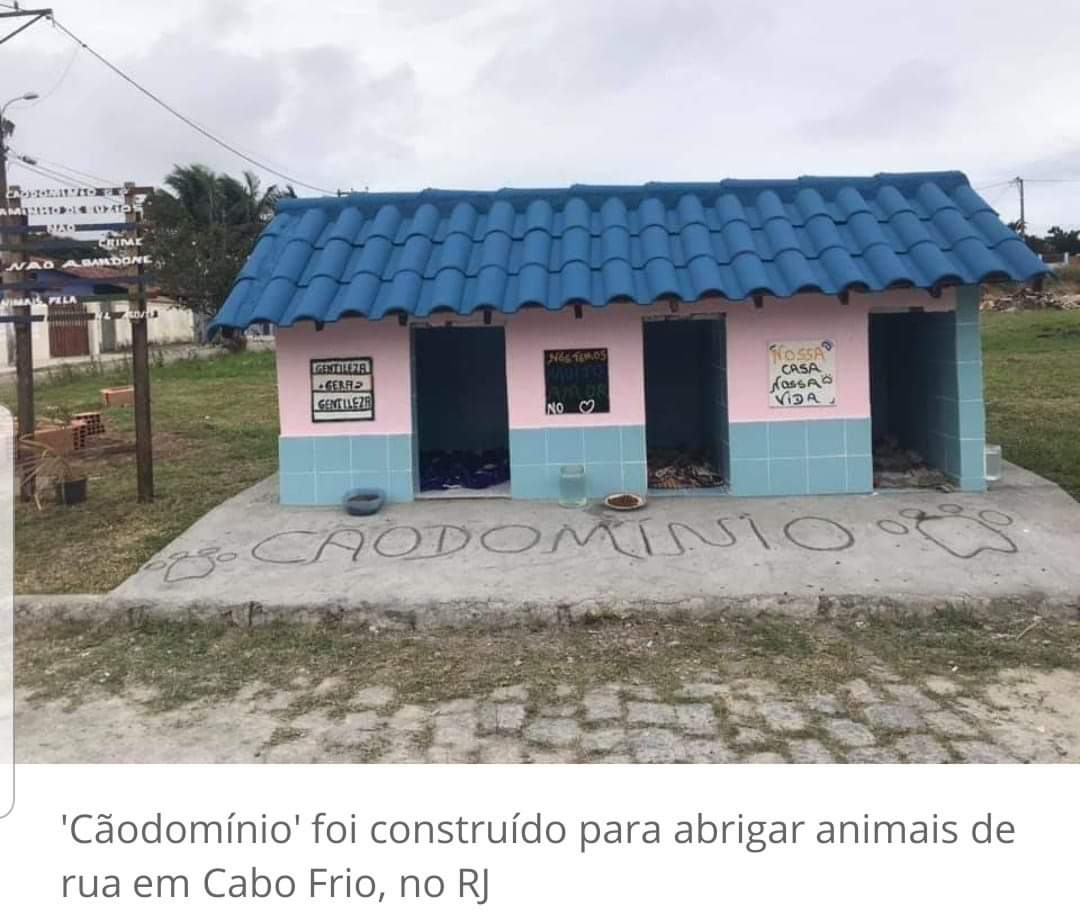 Vizinhos se unem e criam ‘cãodomínio’ para abrigar animais de rua no RJ
