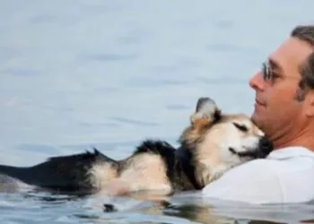 Homem flutua com Cachorro idoso de 19 anos de idade, todos os dias para aliviar sua dor