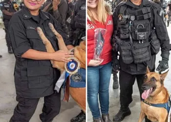 CÃES APOSENTADOS GANHAM HOMENAGEM