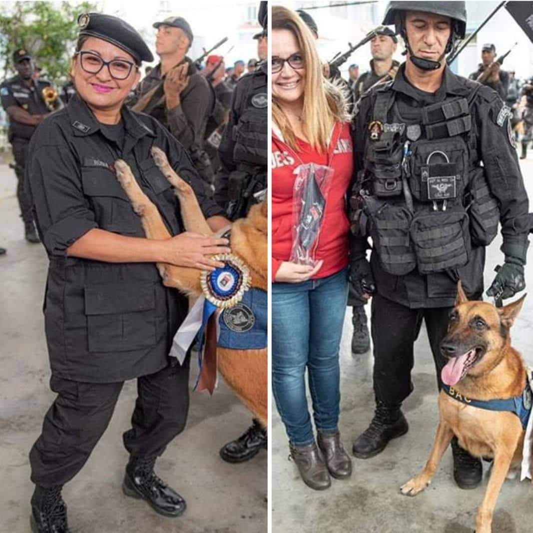 CÃES APOSENTADOS GANHAM HOMENAGEM