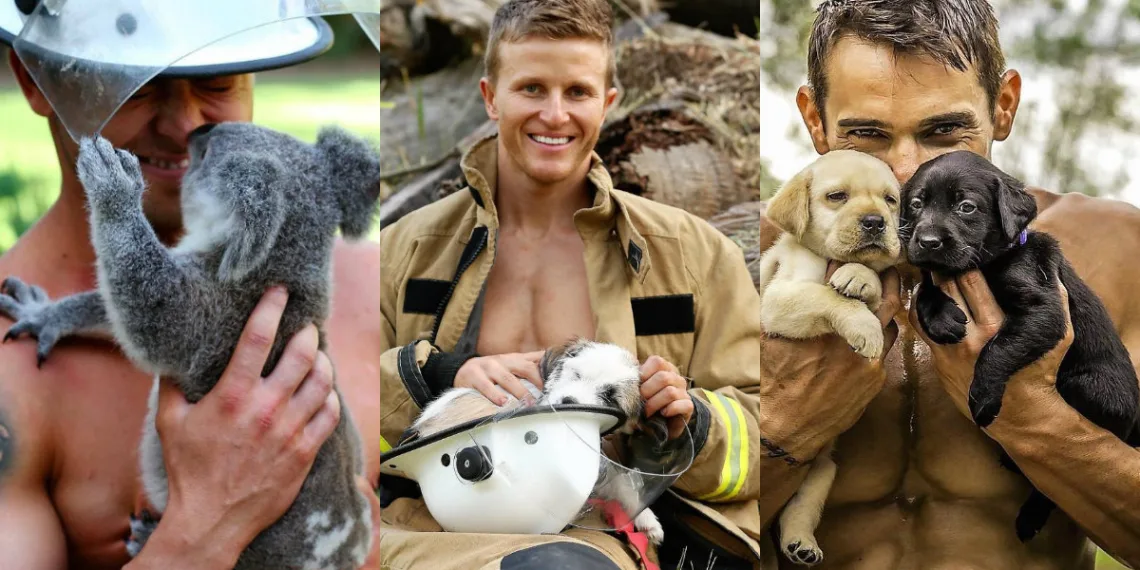 Bombeiros e bichinhos fotografam para ajudar crianças queimadas