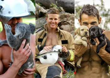 Bombeiros e bichinhos fotografam para ajudar crianças queimadas