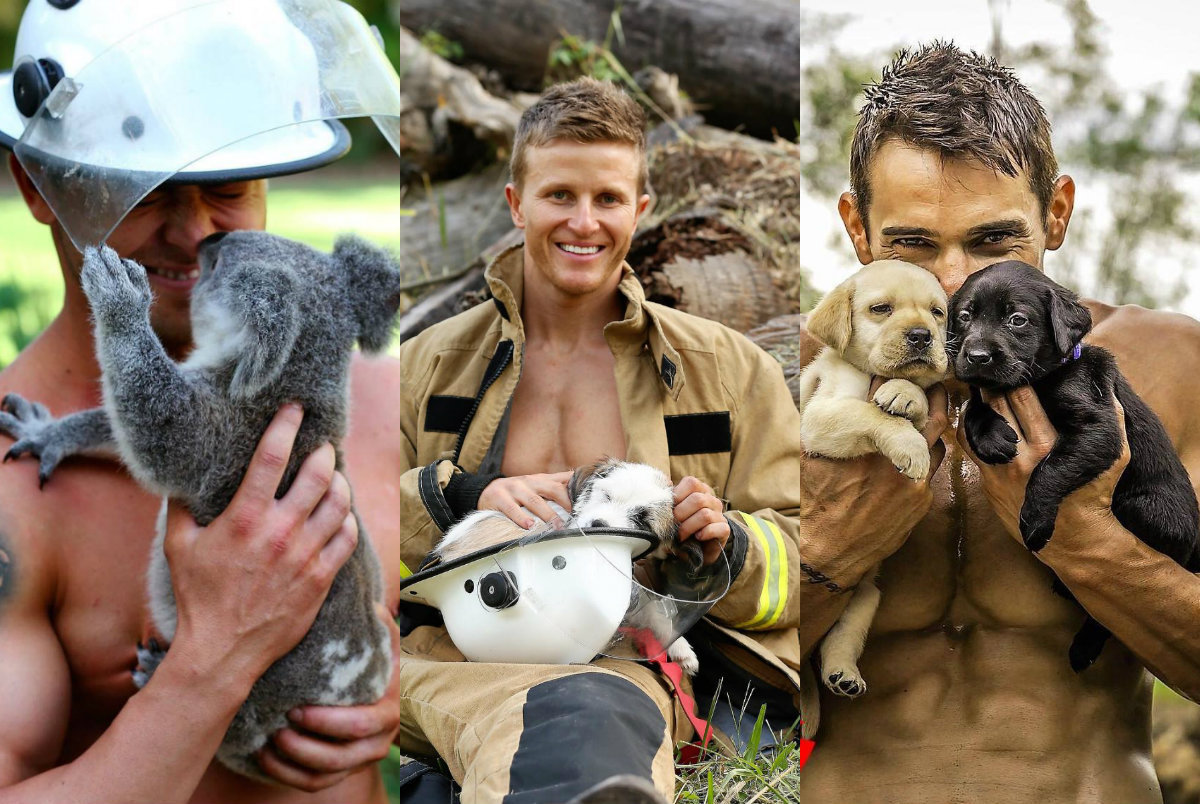 Bombeiros e bichinhos fotografam para ajudar crianças queimadas