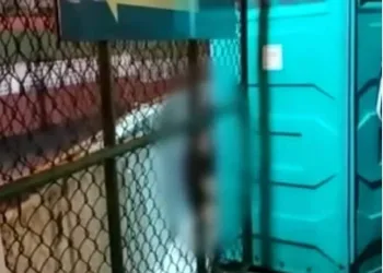 Vídeo: casal é flagrado em prática sexual durante show de Gusttavo Lima