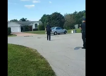 Cachorro entra em carro, engata a ré e só é parado pela polícia