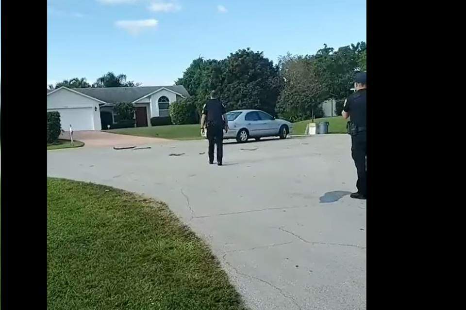 Cachorro entra em carro, engata a ré e só é parado pela polícia