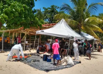 Óleo já atingiu pelo menos 675 áreas de 116 cidades, informa Ibama