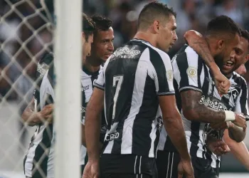 Botafogo tem cinco jogos pela frente para evitar o rebaixamento