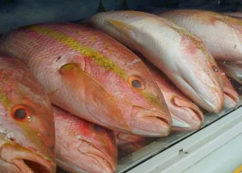 Homem não tem relações há 40 anos e vai à peixaria diariamente para se lembrar do cheiro.