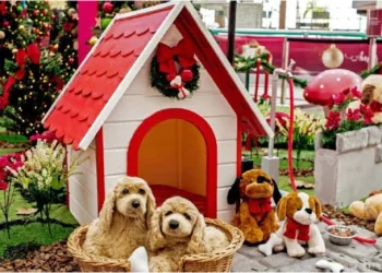 Shopping na Zona Oeste  terá Natal Pet