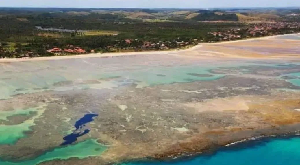 Autoridades acreditam que óleo chega às praias do Rio nos próximos dias