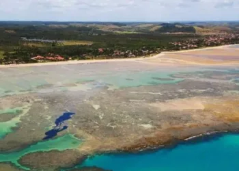 Autoridades acreditam que óleo chega às praias do Rio nos próximos dias