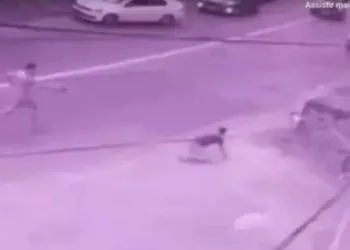 Imagens fortes. Motorista de app é morto ao fugir de assalto