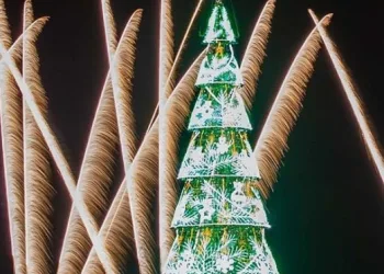 Árvore da Lagoa 2019 ganha apelido de Maconhão