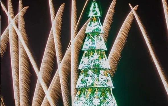 Árvore da Lagoa 2019 ganha apelido de Maconhão