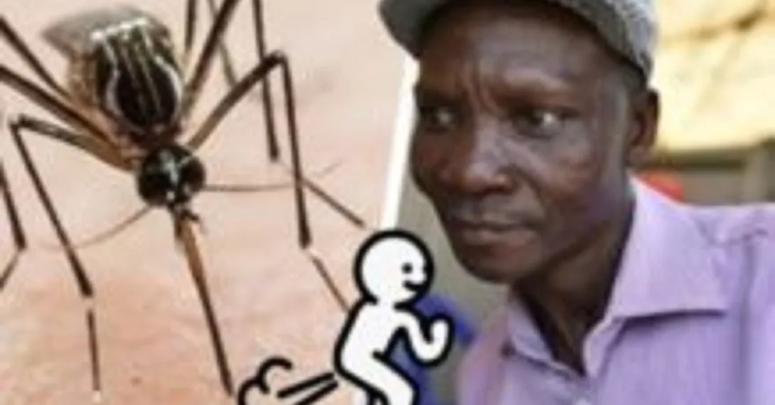 Homem afirma que os seus peidos podem matar mosquitos a seis metros de distância.