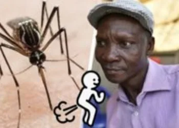 Homem afirma que os seus peidos podem matar mosquitos a seis metros de distância.