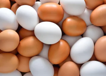 Nutricionista afirma que comer um ovo antes de beber e outro no dia seguinte evita ressaca.