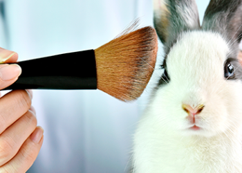 Avon anuncia fim de testes em animais dentro de sua cadeia global