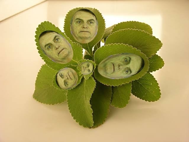 Eduardo Bolsonaro escreve errado nome do pai e vira meme: “Boldonaro: Chá Cota”